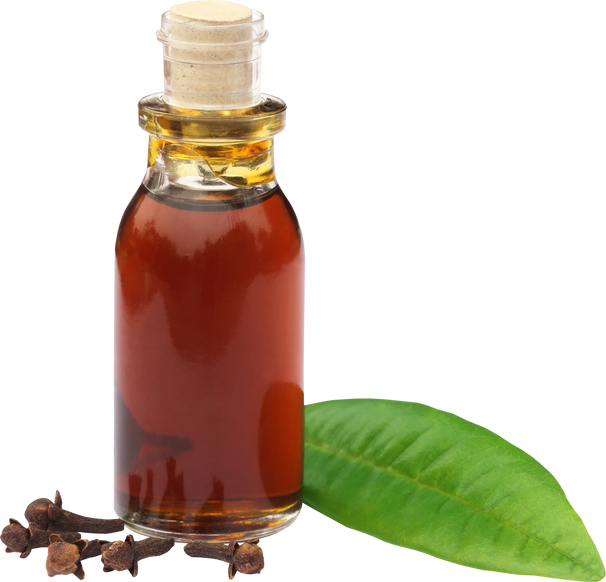 Cloves and Leaf with Essential Oil